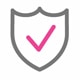 Secure Icon