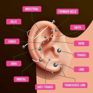 Ear Piercings Chart - Different Name of Piercings